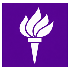 New York University